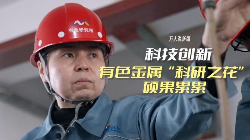 上海数据服务公司技术方案：架构优化与性能提升的关键要素**